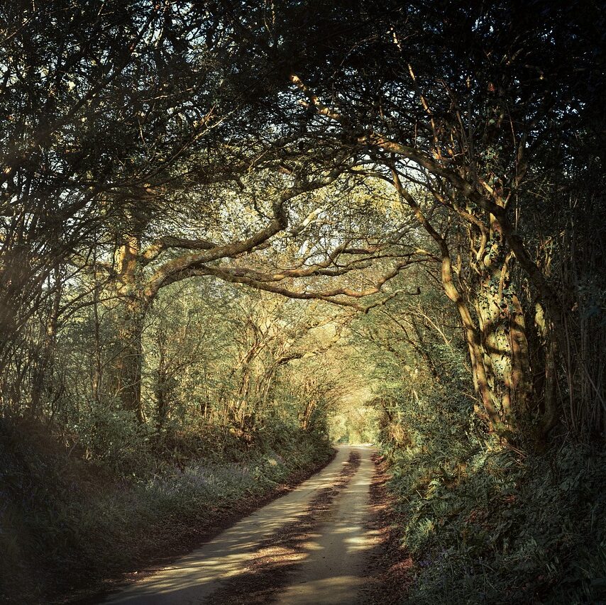 path-5226757_1280
